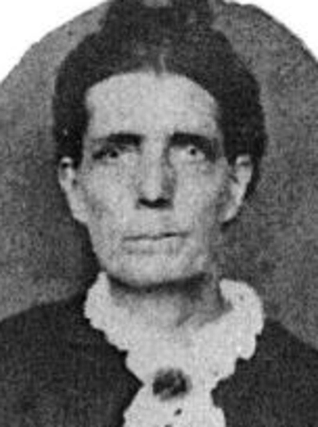 Marilla Terry (1823 - 1894) Profile